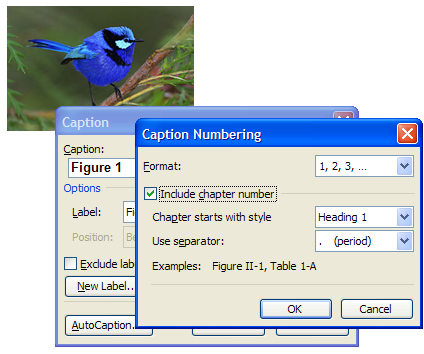 Caption settings for chapter numbering